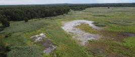 Zdjęcie z lotu ptaka. Podmokła łąka, po lewej stronie w oddali las.