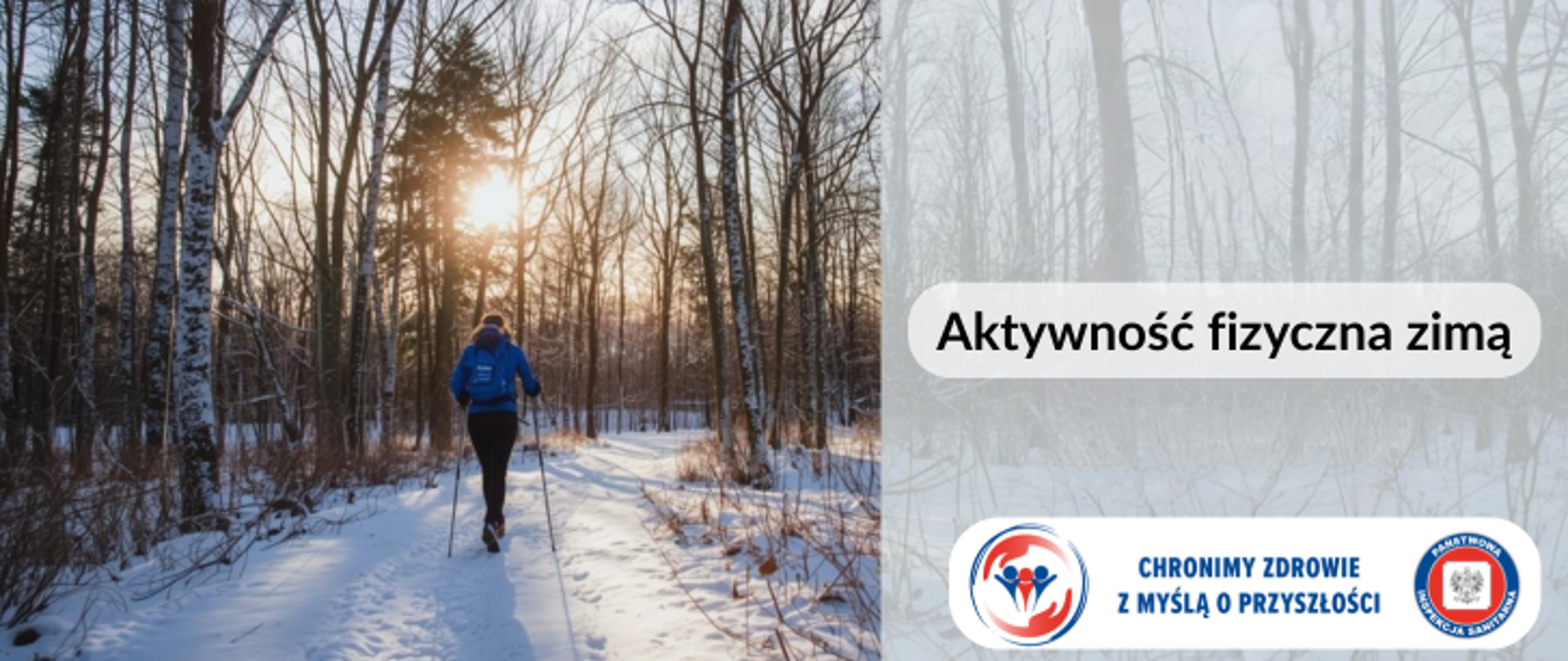 Grafika przedstawia osobę ubraną w niebieską kurtkę i ciemne spodnie spacerującą po leśnej ośnieżonej drodze. Osoba ma na plecach plecak i idzie wspomagając się kijkami. Wokół drzewa. Po prawej stronie ciemny napis Aktywność fizyczna zimą. W prawym dolnym rogu logo Państwowej Inspekcji Sanitarnej wraz z hasłem chronimy zdrowie z myślą o przyszłości. 