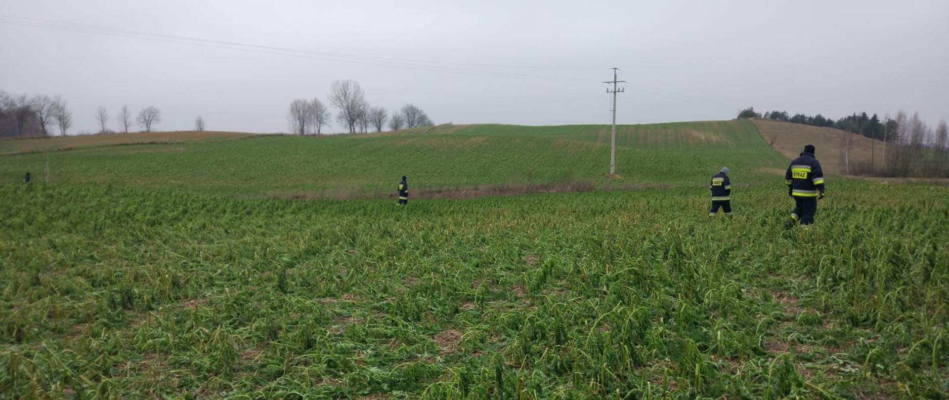 poszukiwania zaginionego mieszkańca Białogór przez druhów z Gminy Giby