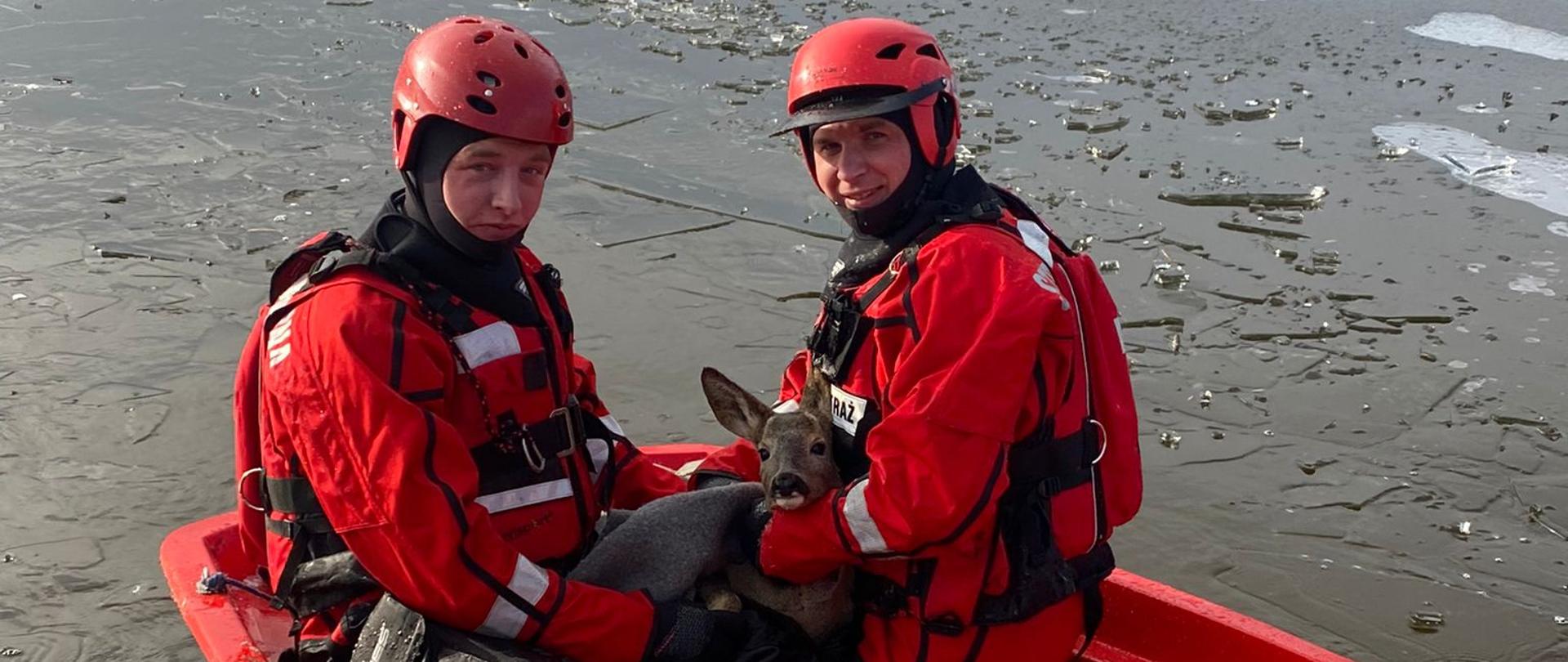 Na zdjęciu widać dwóch strażaków w ubraniach wypornościowych na łodzi płaskodennej, którzy trzymają przestraszoną sarnę ewakuowaną wcześniej z częściowo zamarzniętego zbiornika wodnego.