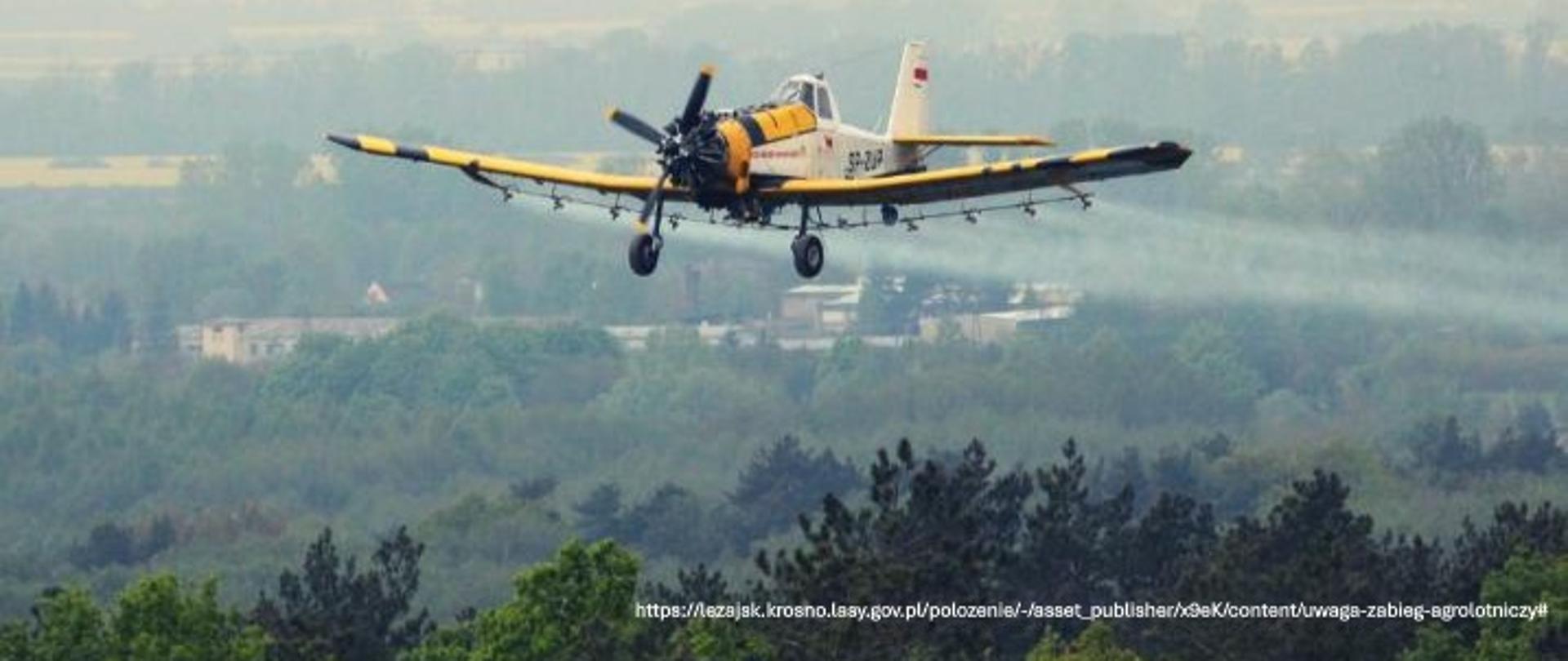 Samolot na tle drzew