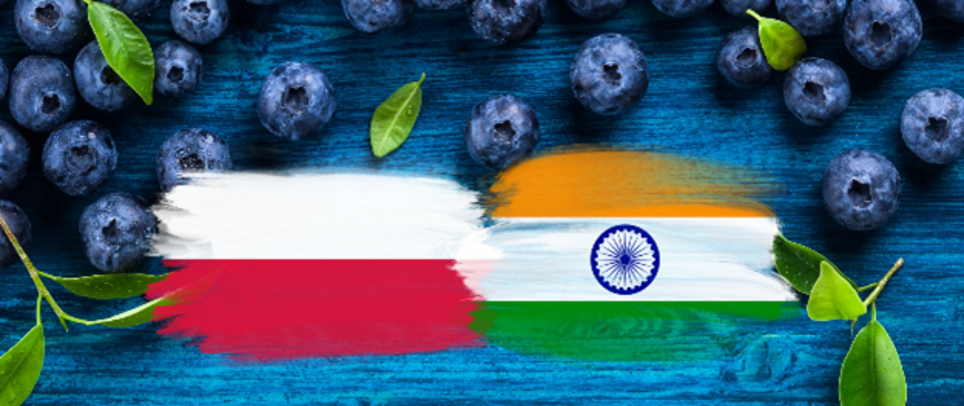 Zdjęcie przedstawiające flagi Polski i Indii na tle owoców borówki