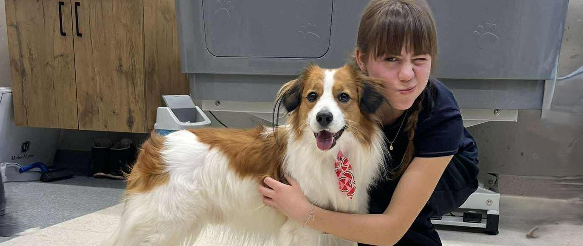 Pracownia groomerska