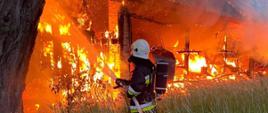 Zdjęcie przedstawia akcję ratowniczo - gaśniczą pożaru budynku stodoły. Na zdjęciu widać palący się budynek oraz strażaków ochotnika, który gasi pożar. Zdjęcie wykonane w porze wieczornej na terenie posesji.