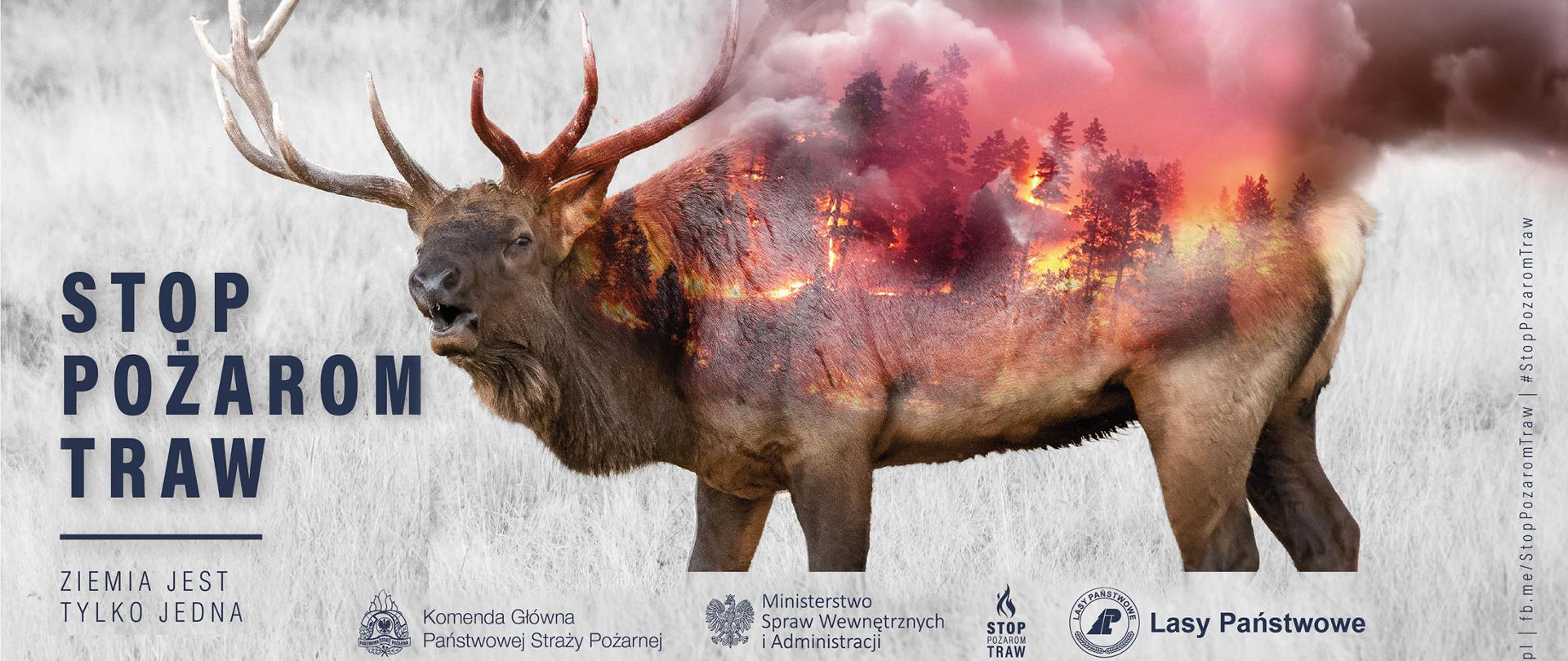 Jeleń, na jego grzbiecie palą się trawy i drzewa, napis STOP POŻAROM TRAW