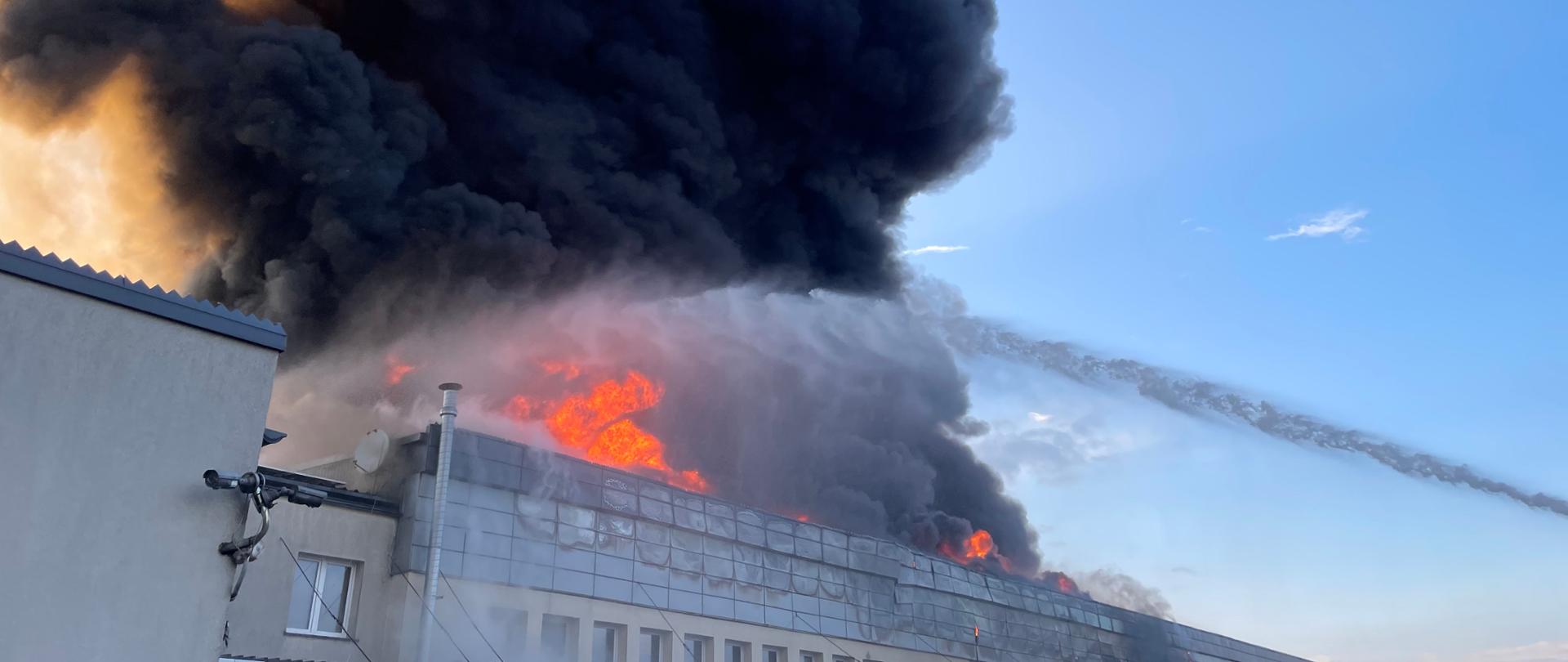 Widok na długi budynek przemysłowo-magazynowy objęty pożarem. Z dachu wydobywają się intensywne płomienie oraz bardzo gęsty, czarny dym unoszący się wysoko nad obiektem. Strażacy prowadzą działania gaśnicze z użyciem prądu wody podawanego z podnośnika lub drabiny, kierując strumień na dach i strefę pożaru.