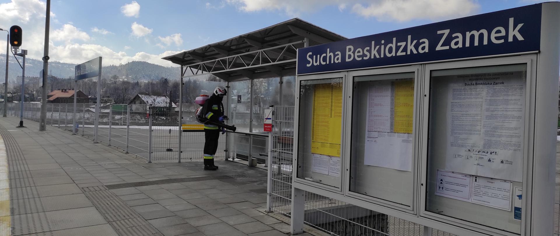Zdjęcie przedstawia strażaka wykonującego dezynfekcję przestrzeni publicznej. 