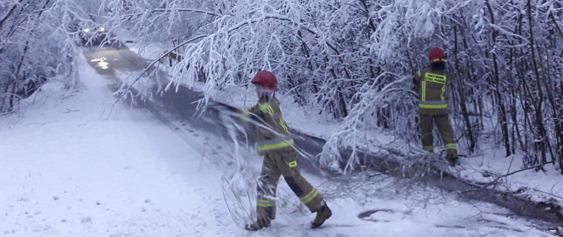 Strażacy usuwają powalone drzewa w wyniku ciężkiego śniegu z drogi.