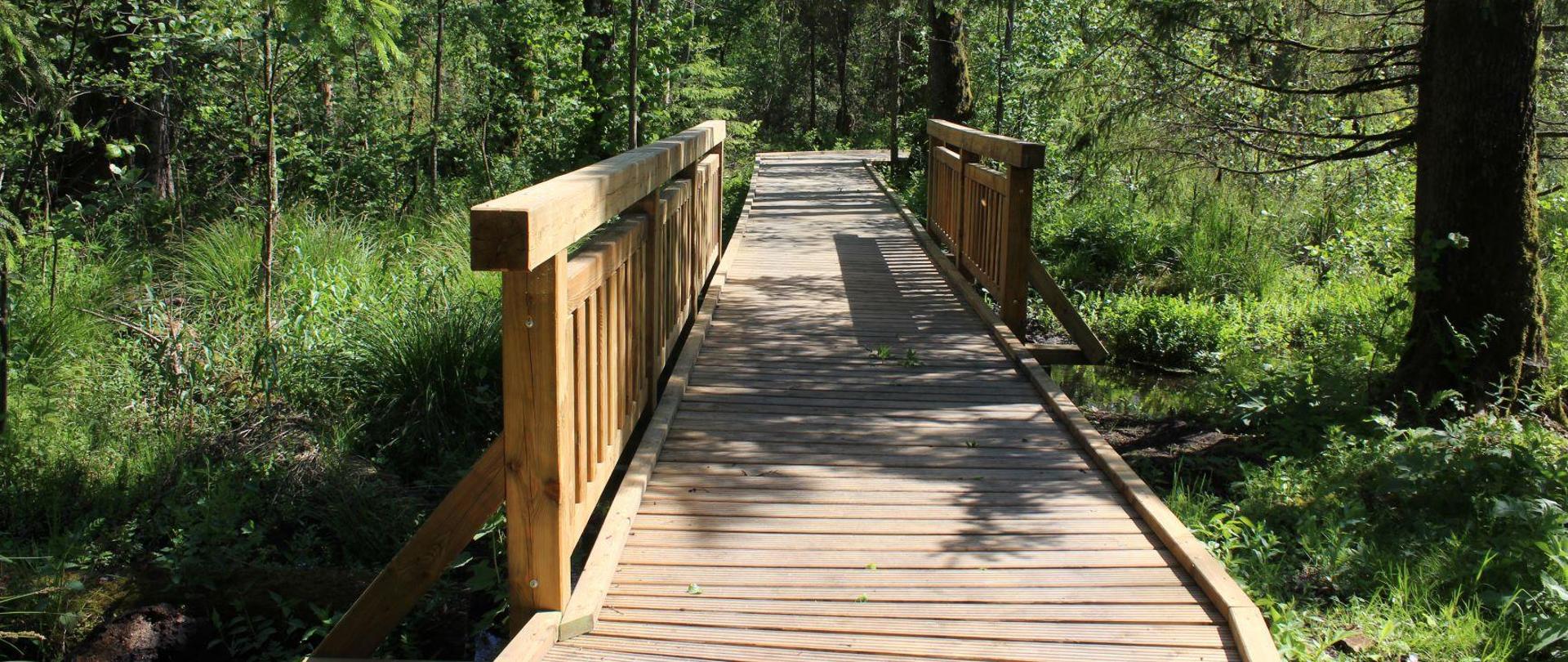 Rezerwat przyrody Krzemianka - kładka