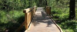 Rezerwat przyrody Krzemianka - kładka