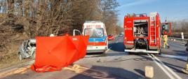 Pojazd karetki pogotowia ratunkowego oraz wóz strażacki w trakcie interwencji na Drodze Krajowej nr 88 w związku z wypadkiem drogowym. Z lewej strony widoczny jest zniszczony samochód osobowy, częściowo zasłonięty przez parawan ochronny w kolorze czerwonym.