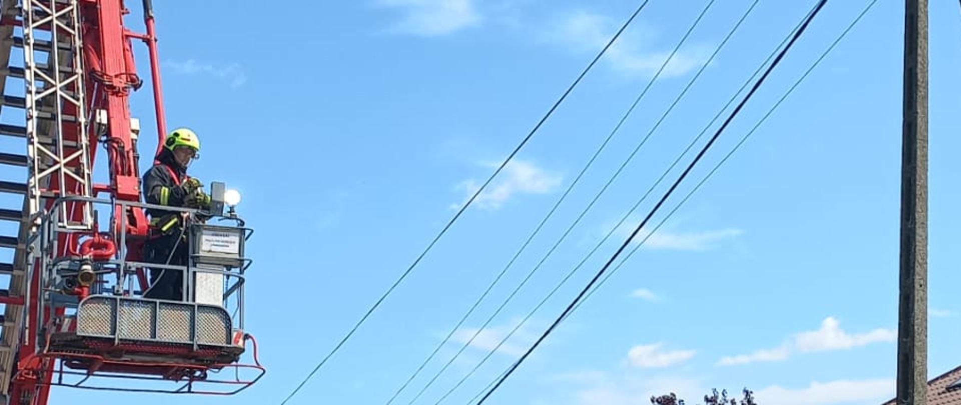 Podnośnik strażacki obok bocianiego gniazda.