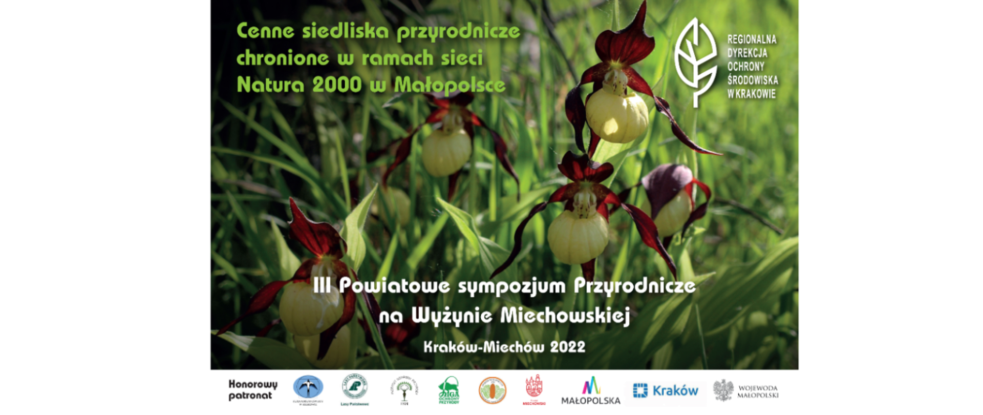 Plakat Cenne siedliska przyrodnicze chronione w ramach sieci Natura 2000 w Małopolsce. Zdjęcie obuwika pospolitego