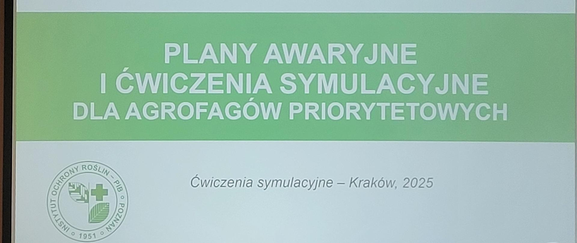 Widok fragmentu prezentacji