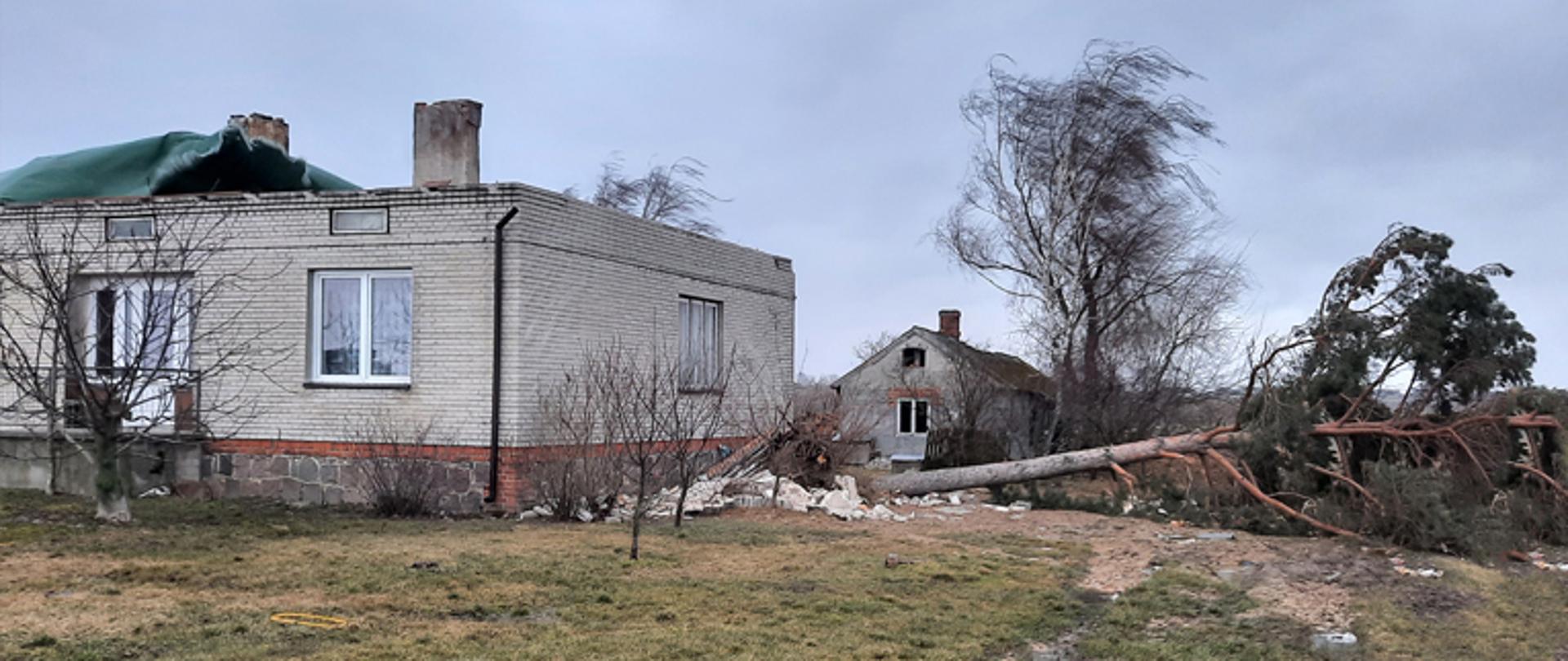 Budynek mieszkalny parterowy z zerwanym poszyciem dachowym, fragment dachu budynku przykryty plandeką, obok budynku leży powalone drzewo, w tle stoi budynek mieszkalny, wiatr porywisty, niebo zachmurzone, opadów brak