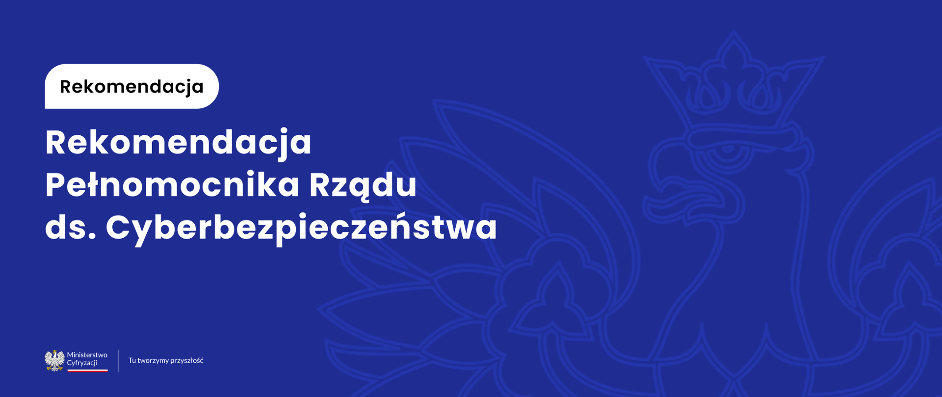 Rekomendacja Pełnomocnika Rządu ds. Cyberbezpieczeństwa
