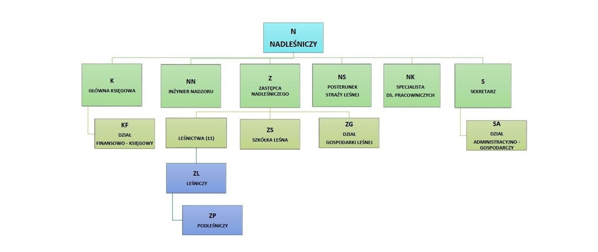 schemat organizacyjny