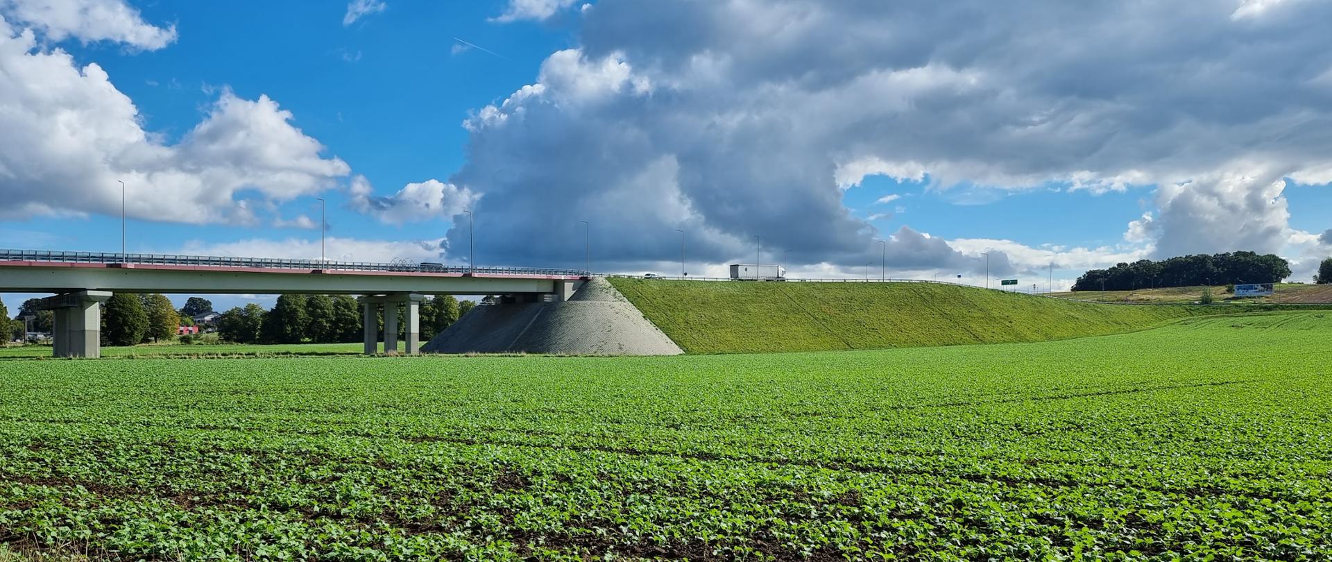 plener z wiaduktem i nasypem drogowym, widziane z boku