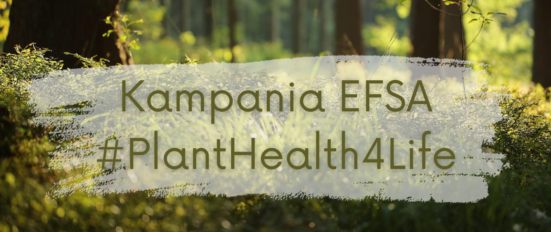 Kampania EFSA #PlantHealth4Life