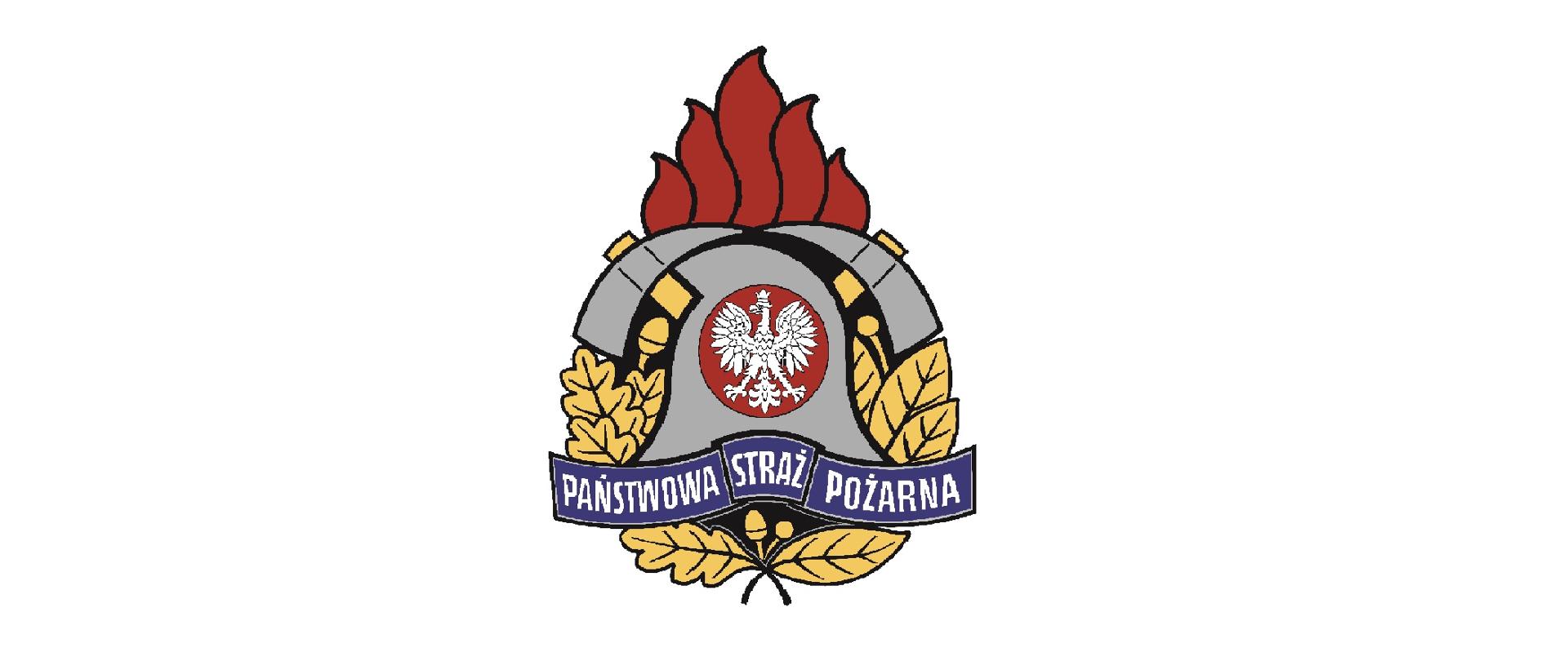 Logo PSP