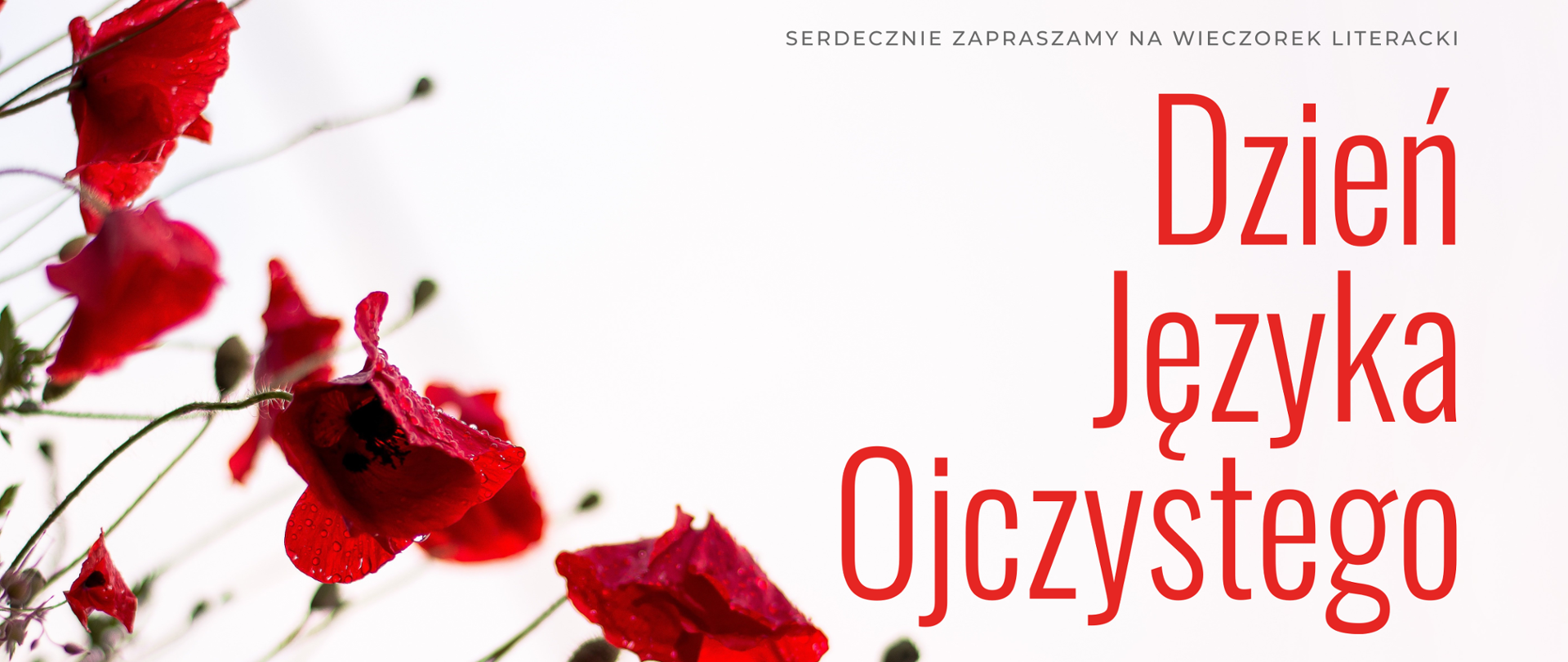 Plakat, na białym tle z lewej strony wychylają się czerwone maki z kroplami rosy. Z prawej strony są napisy drukowanymi literami: SERDECZNIE ZAPRASZAMY NA WIECCZOREK LITERACKI Dzień Języka Ojczystego 16.03.2026 (PONIEDZIAŁEK) GODZ. 20.00 BIBLIOTEKA BSA