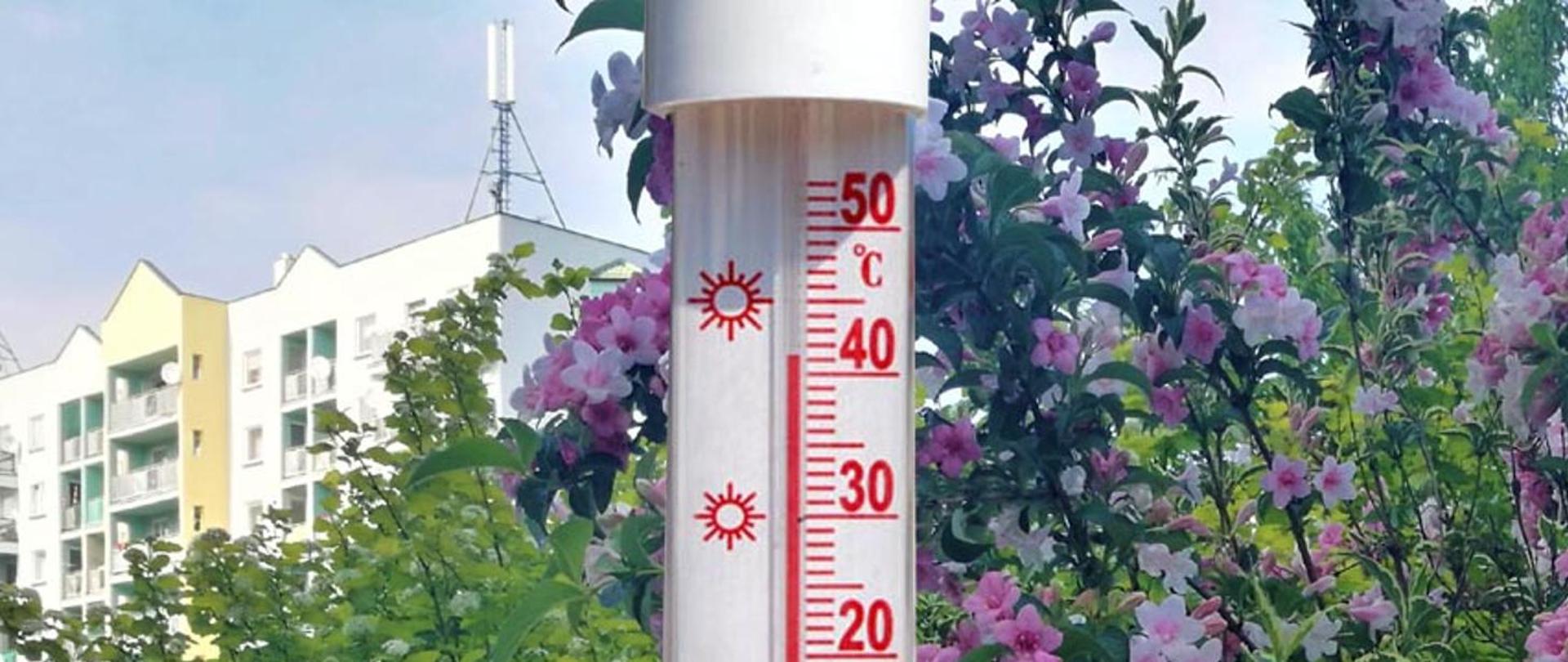 Zdjęcie przedstawia fragment tradycyjnego termometru zewnętrznego, który wskazuje temperaturę ponad 40 stopni Celsjusza. W tle zdjęcia znajdują się kwiaty i inne rośliny zielone oraz fragment budynku mieszkalnego wielorodzinnego. W górnej części zdjęcia widać niebo.