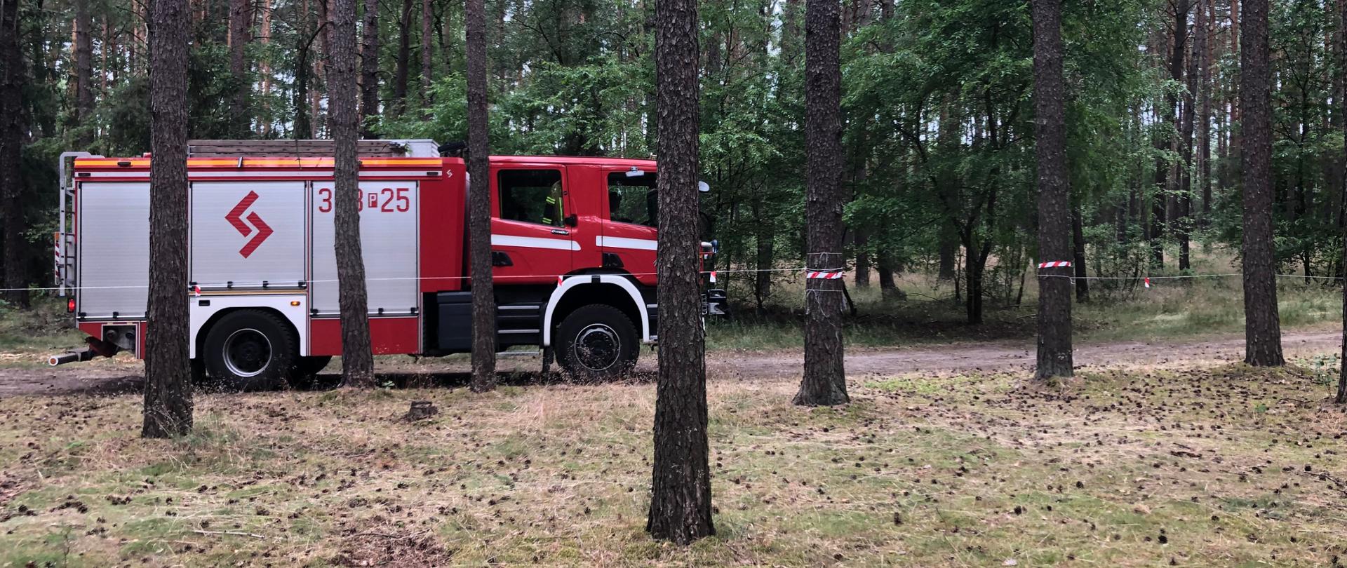 Rozpoznanie miejsc letniego wypoczynku dzieci i młodzieży