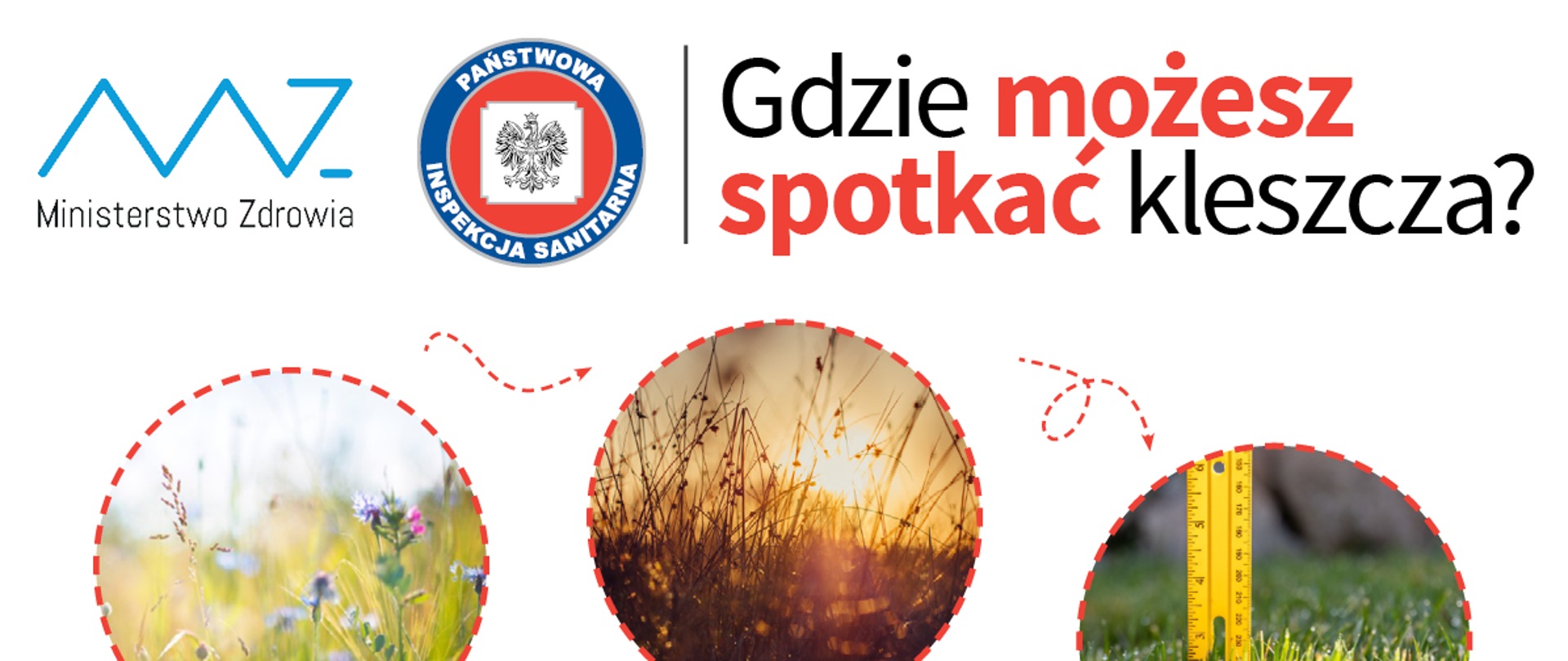 Gdzie możesz spotkać kleszcza