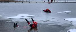 Strażacy ćwiczą ratownictwo lodowe na lodzie