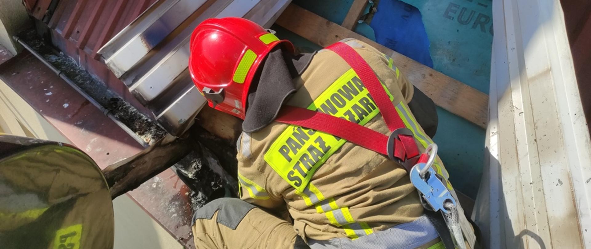 Strażak odwrócony plecami, ubrany w ubranie specjalne, zabezpieczony szelkami i lonżą, pracuje z kosza podnośnika podczas likwidowania zarzewi ognia w konstrukcji dachu 