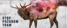 Plakat promujący kampanię STOP POŻAROM TRAW