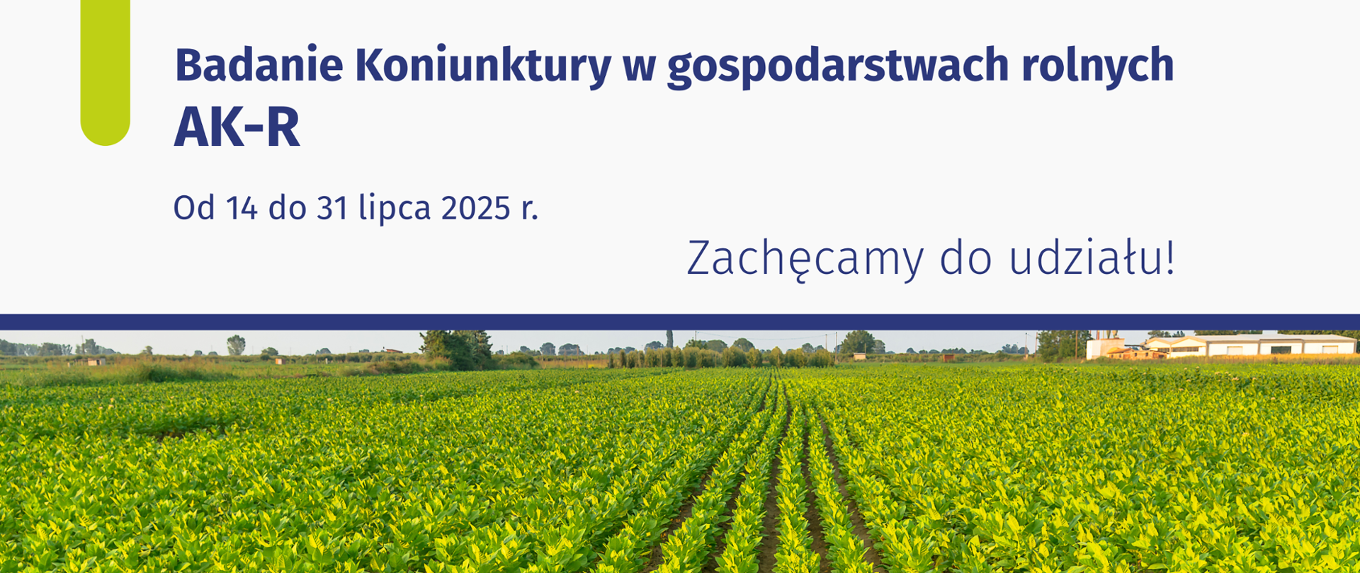 Baner promujący badania ankietowe koniunktury w gospodarstwach rolnych. Górna połowa to granatowe napisy na białym tle. W dolnej pole uprawne z zielonymi roślinami.