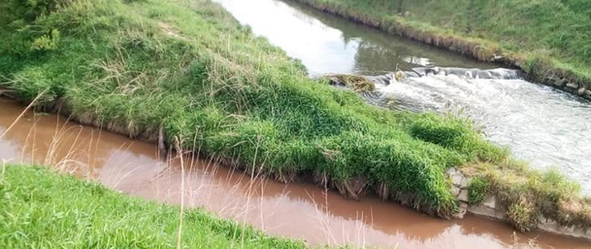 Wlot Rowu Michałkowickiego do Brynicy