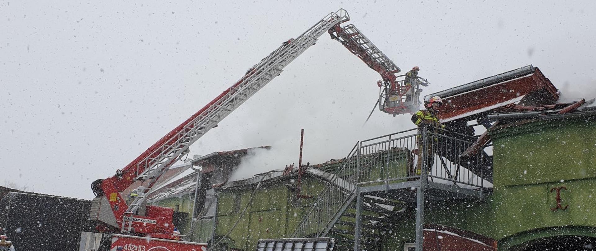 Trwa akcja gaśnicza. Z rozstawionego samochodu specjalnego podnośnika hydraulicznego z państwowej straży pożarnej trwa gaszenie palącego się dachu magazynu materiałów budowlanych w miejscowości Lutol.