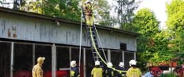 Widok z tyłu. Po lewej stronie stoi instruktor z PSP. W centrum i po lewej stronie słuchacze OSP w trakcie ćwiczenia z drabiną pożarniczą.