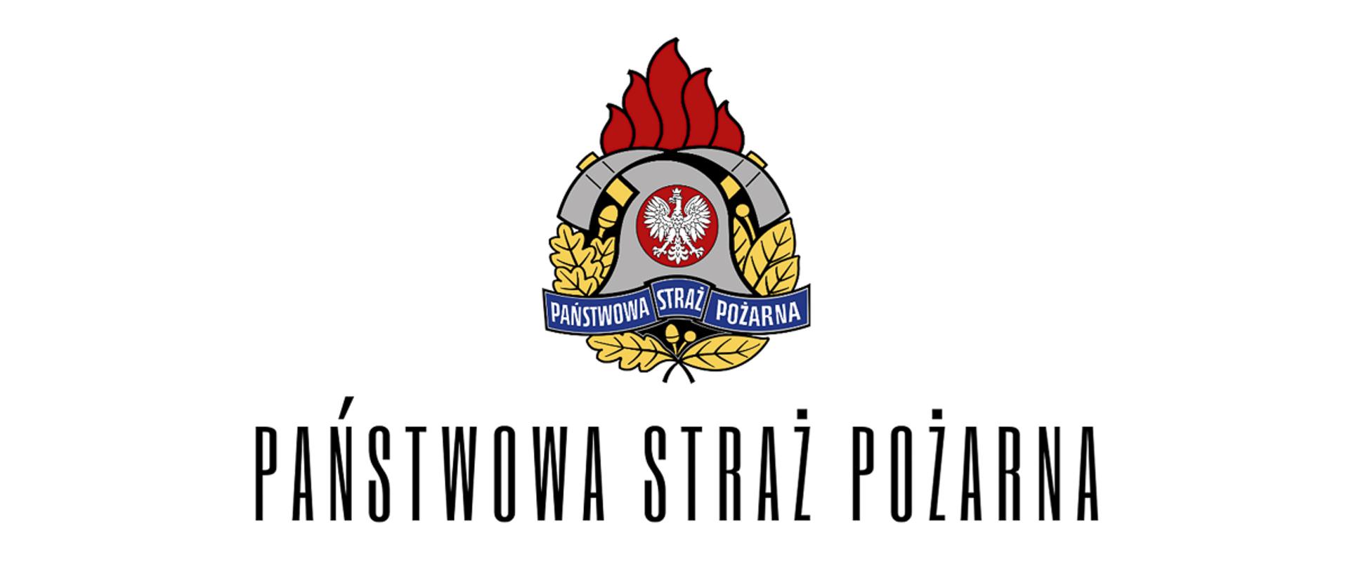 Na "bannerze" centralnie umieszczone jest logo Państwowej Straży Pożarnej, przedstawiające hełm strażacki z orłem w koronie otoczony płomieniami i liśćmi, a pod nim napis "PAŃSTWOWA STRAŻ POŻARNA". To logo symbolizuje służbę i jej ciągłość.