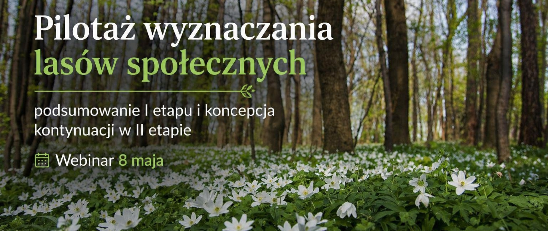 Pilotaż wyznaczania lasów społ.