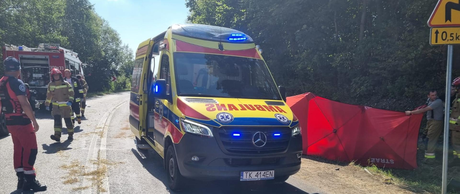 Zdjęcie przedstawia miejsce wypadku: w centralnym punkcie widzimy ambulans Zespołu Ratownictwa Medycznego, po lewej stronie stoi samochód pożarniczy i ratownicy z lewej zaś rozłożony parawan osłaniający.