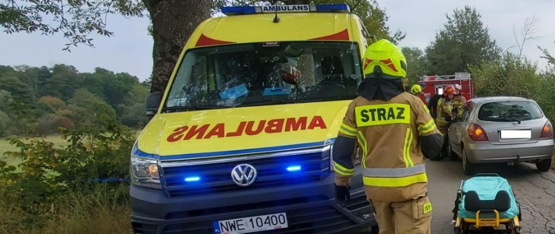 Na drodze asfaltowej stoi straż pożarna, karetka oraz srebrny samochód osobowy, który zderzył się z jeleniem. Obok pojazdu stoją strażacy. 