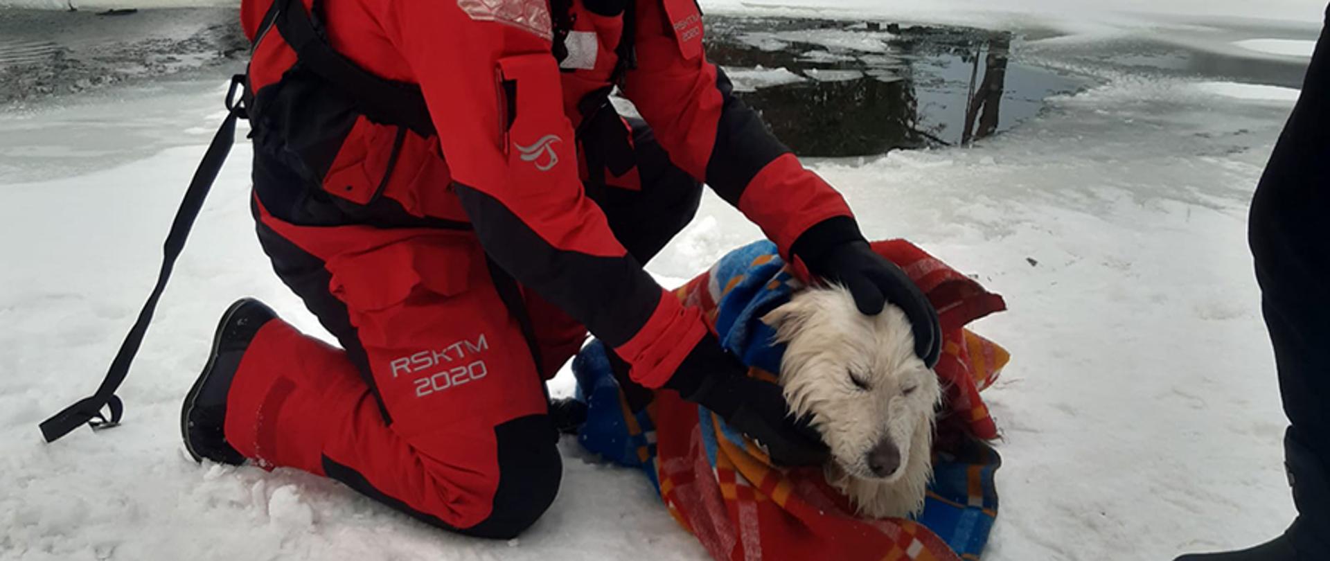 Szczęśliwy finał spaceru po lodzie