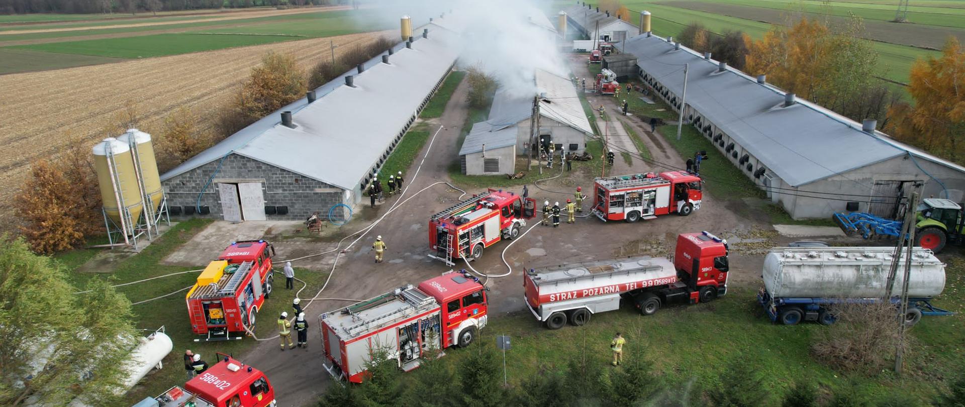 widok z lotu pożar kurnika w środku obok dwa inne nie objęte pożarem, przed kurnikami 7 samochodów straży pożarnej wokół samochodów strażacy oraz rozwinięte linie wężowe. Nad płonącym kurnikiem wydobywający się dym 
