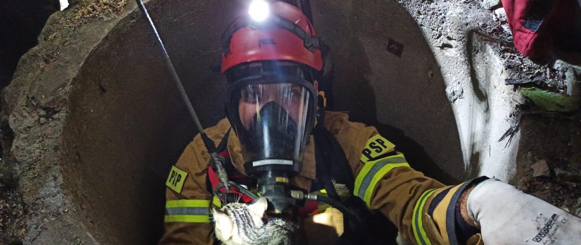 Zdjęcie przedstawia strażaka, który trzyma w ręce kota, którego wcześniej ewakuował ze studni z głębokości ok. 16 m. 
