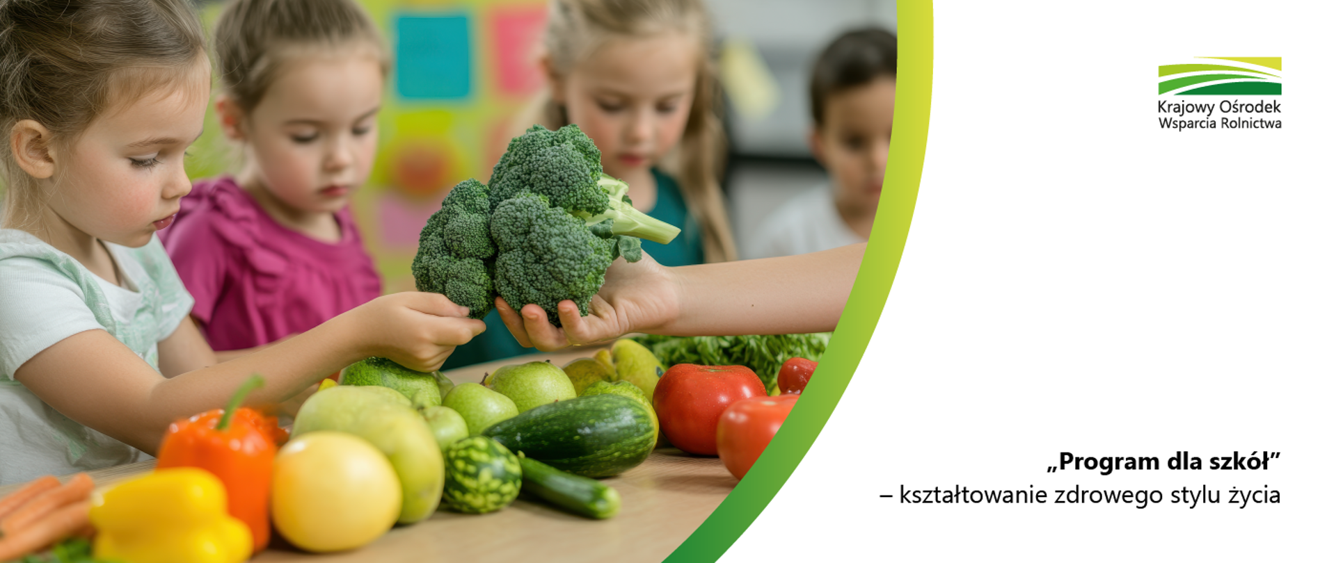 program dla szkół