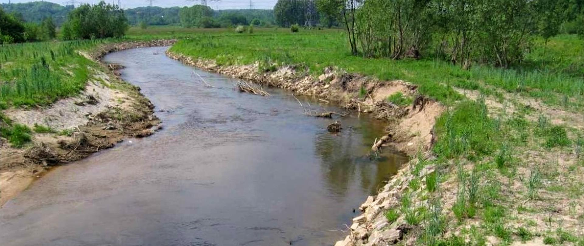 Rzeka Witka poniżej mostu kolejowego.