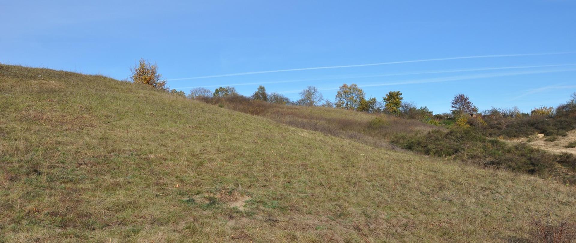 Niewielkie wzgórze porośnięte niską zieloną roślinnością. 