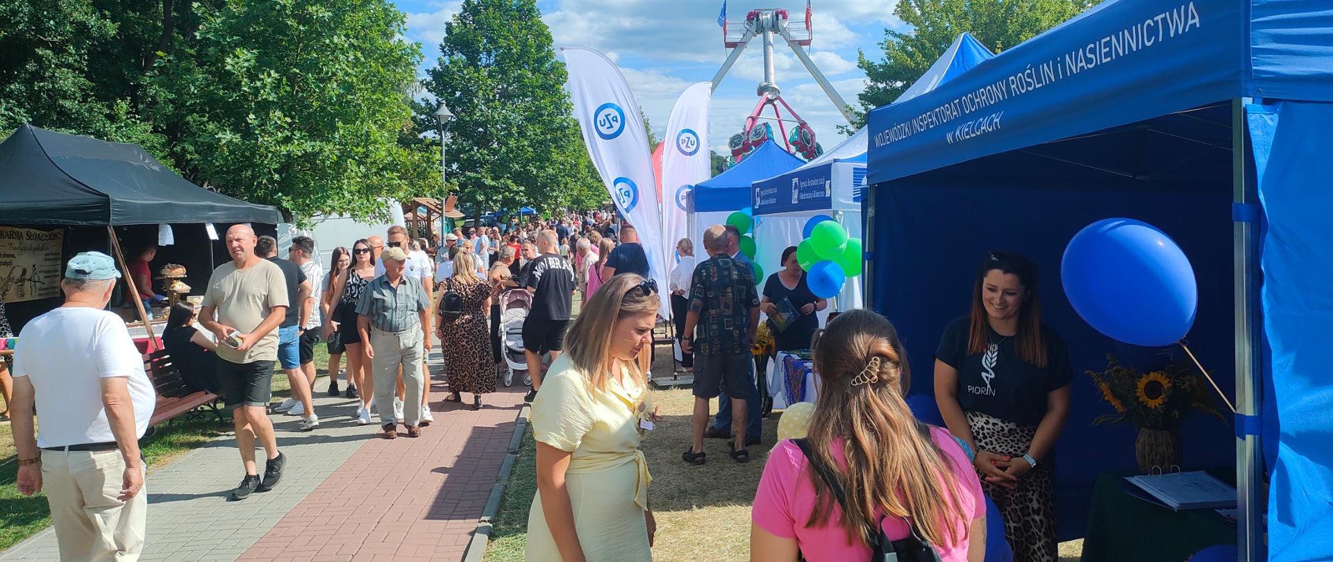 Tłum ludzi na Dożynkach.