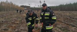 Zdjęcie przedstawia strażaków sadzących drzewa. W tle osoby wykonujące nasadzenia i las.