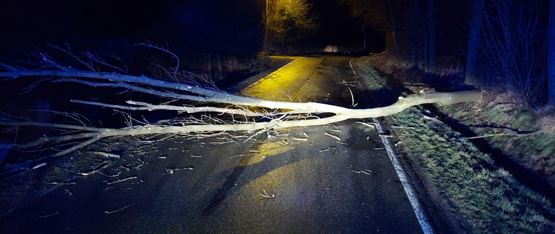 Zdjęcie przedstawia wywrócone na drogę drzewo tarasujące całkowicie przejazd. Drzewo leży na jezdni za drzewem widać po lewej stronie zapaloną w kolorze żółtym lampę. Na jezdni widać rozrzucone połamane gałęzie drzewa.