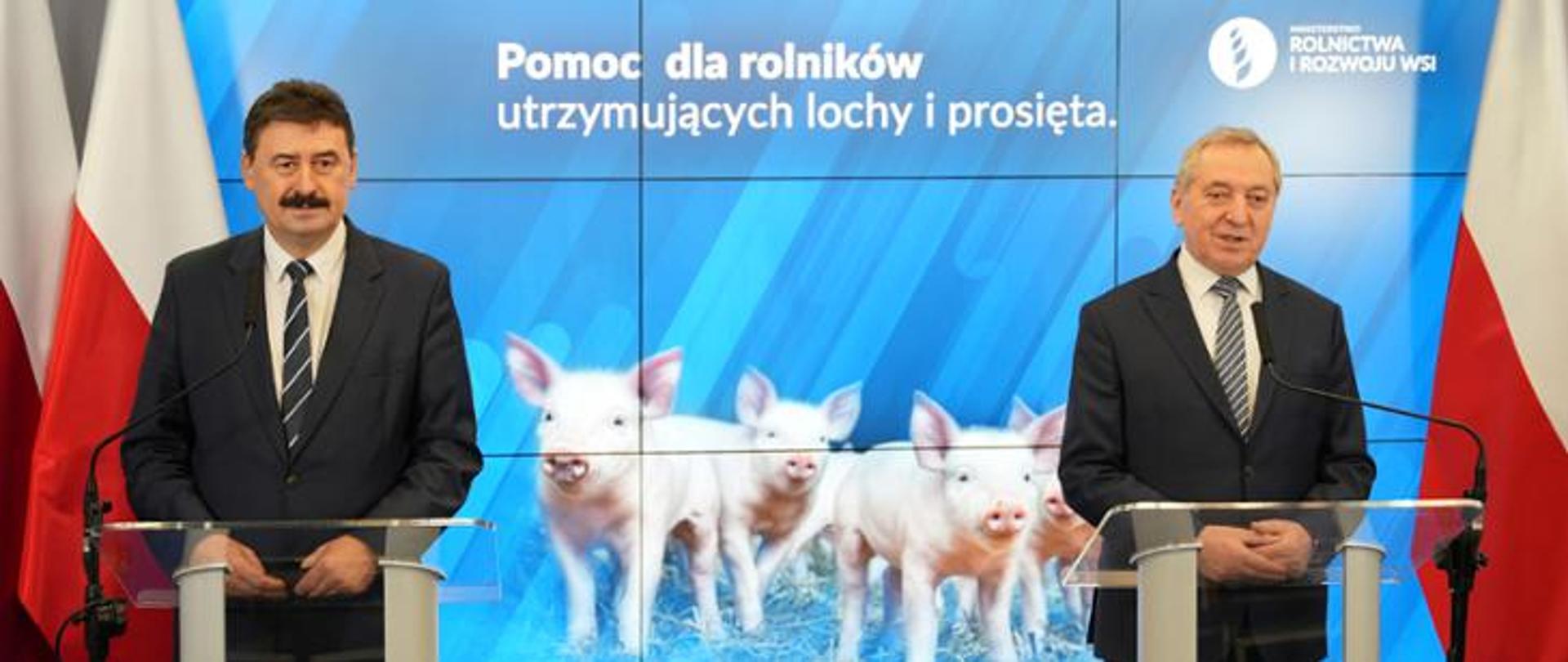 Pomoc dla rolników utrzymujących lochy i prosięta
