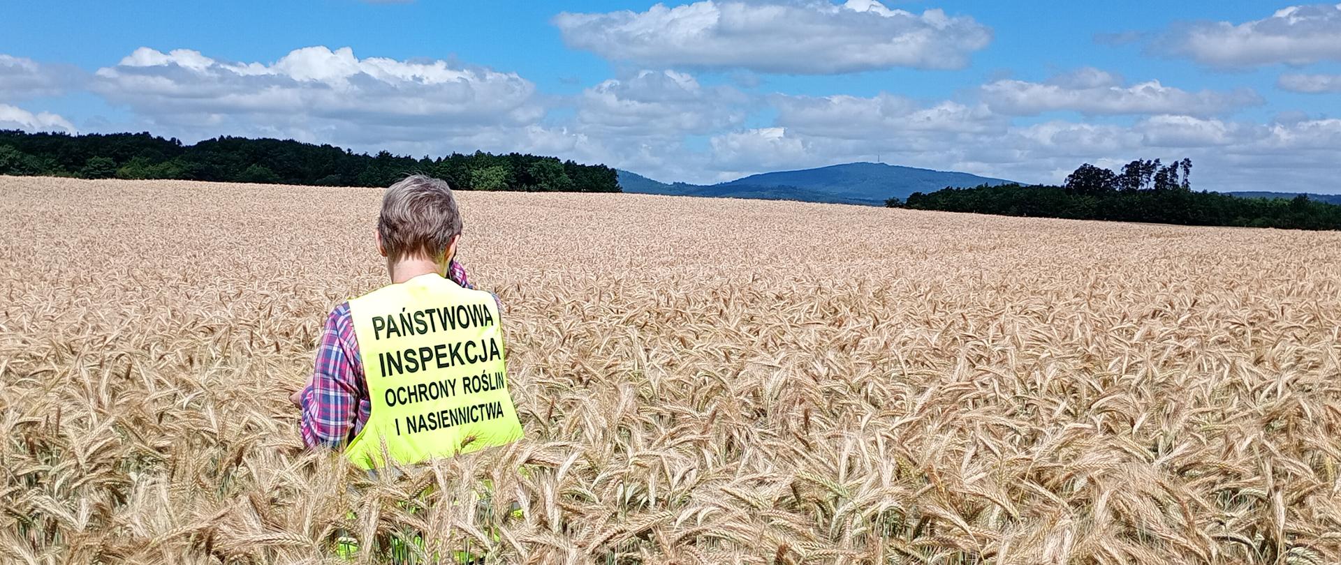 Na zdjęciu widać inspektora Wojewódzkiego Inspektoratu Ochrony Roślin i Nasiennictwa, ubraną w żółtą kamizelkę z nazwą inspekcji. Kobieta w krótkich blond włosach stoi tyłem na plantacji zboża i prowadzi obserwacje. W tle widoczne są las, wzgórza oraz błękitne niebo z chmurami.